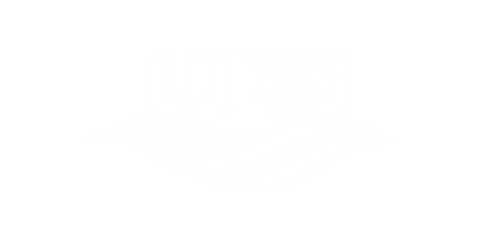 LUDIS